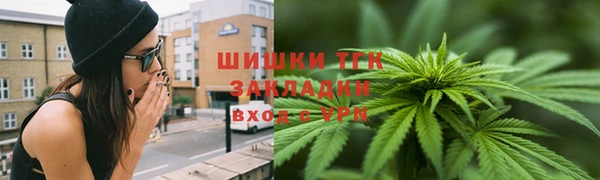 ГАЛЛЮЦИНОГЕННЫЕ ГРИБЫ Балабаново