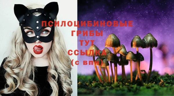 прущая мука Арсеньев