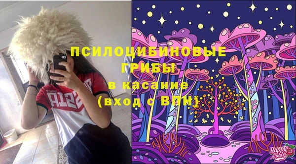 прущая мука Арсеньев