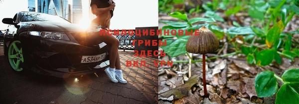 мескалин Аркадак
